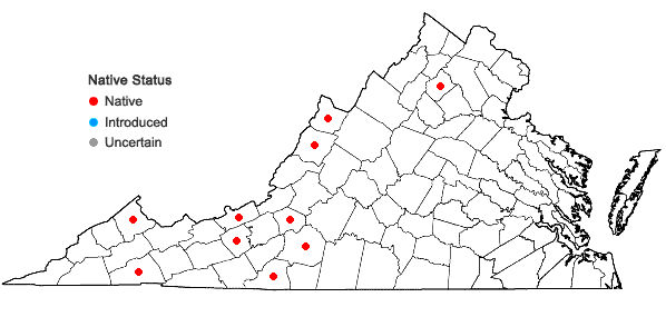 Locations ofPlagiochila virginica A. Evans in Virginia