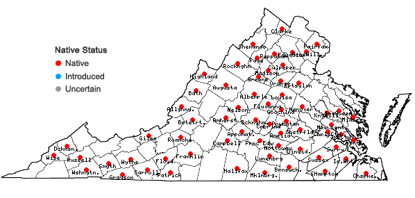 Locations ofPlagiomnium ciliare (Müll. Hal.) T.J. Kop. in Virginia