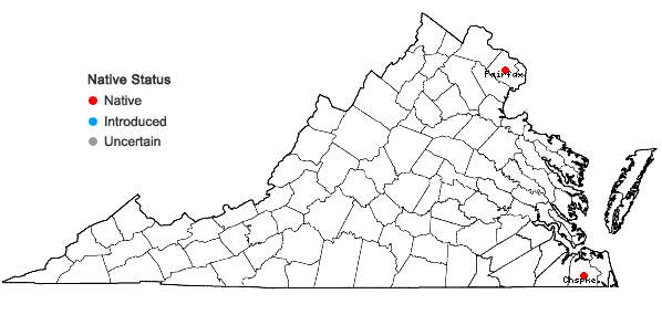 Locations ofPlagiomnium drummondii (Bruch & Schimp.) T.J. Kop. in Virginia