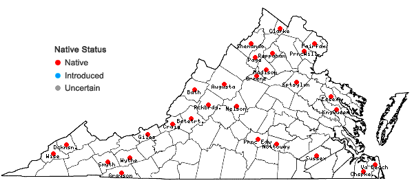 Locations ofPlagiothecium denticulatum (Hedw.) Schimp. in Virginia