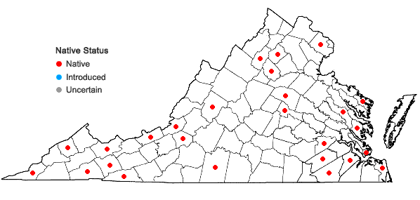 Locations ofPlagiothecium laetum Schimp. in Virginia