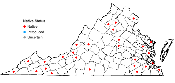 Locations ofPlagiothecium laetum Schimp. in Virginia