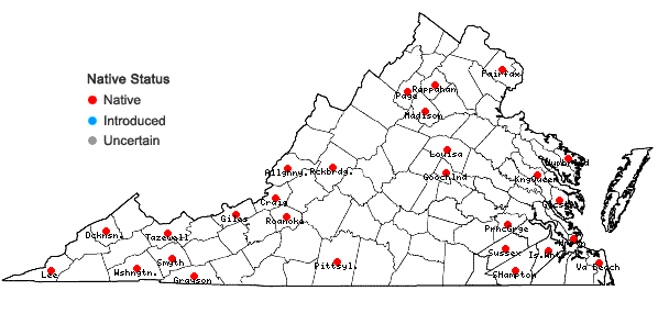 Locations ofPlagiothecium laetum Schimp. in Virginia