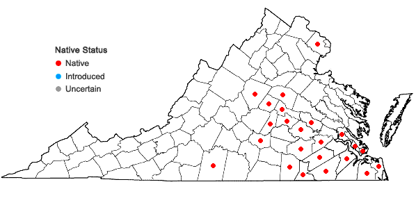 Locations ofPlanodes virginicum (L.) E.L. Greene in Virginia