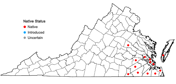 Locations ofPlantago heterophylla Nuttall in Virginia