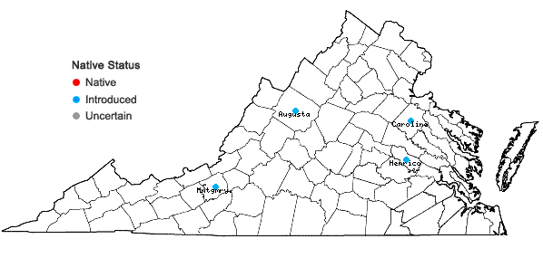 Locations ofPlantago indica L. in Virginia