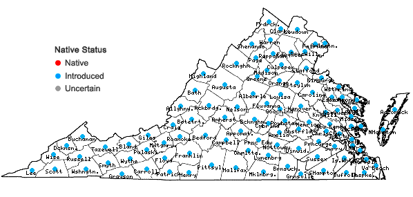 Locations ofPlantago lanceolata L. in Virginia