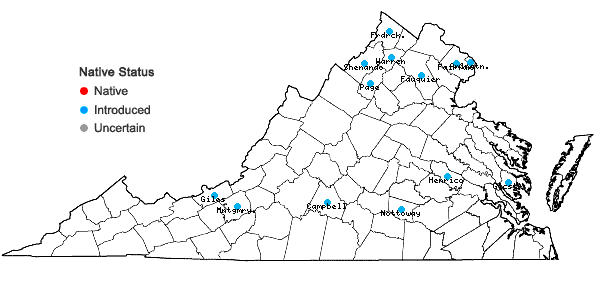 Locations ofPlantago major L. in Virginia
