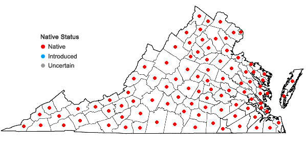 Locations ofPlantago virginica L. in Virginia