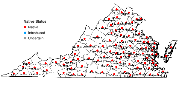 Locations ofPlantago virginica L. in Virginia