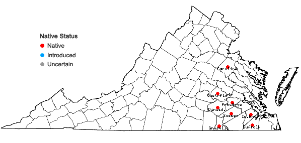 Locations ofPlatanthera blephariglottis (Willd.) Lindl. in Virginia