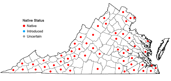 Locations ofPlatanthera ciliaris (L.) Lindl. in Virginia