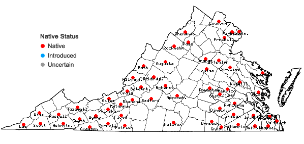 Locations ofPlatanthera ciliaris (L.) Lindl. in Virginia