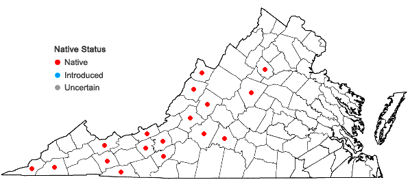 Locations ofPlatanthera flava (L.) Lindl. var. herbiola (R.Br. ex Ait.f.) Luer in Virginia