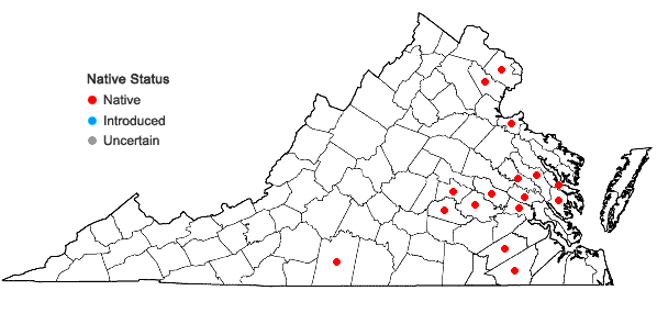 Locations ofPlatanthera flava (L.) Lindl. var. flava in Virginia