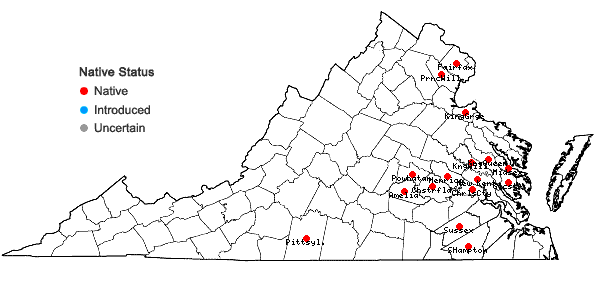Locations ofPlatanthera flava (L.) Lindl. var. flava in Virginia