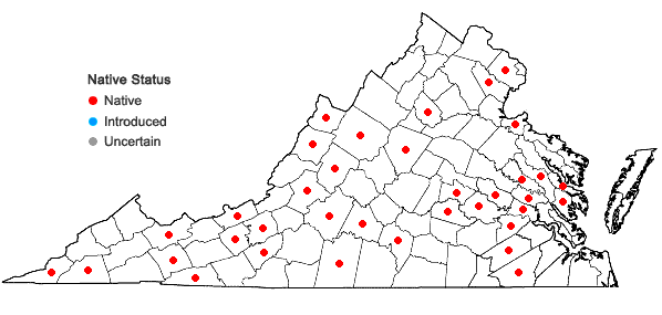 Locations ofPlatanthera flava (L.) Lindl. in Virginia
