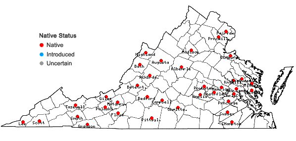Locations ofPlatanthera flava (L.) Lindl. in Virginia