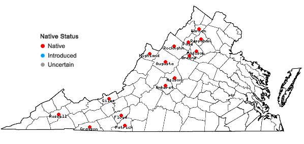 Locations ofPlatanthera grandiflora (Bigelow) Lindl. in Virginia