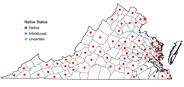 Locations ofPlatanthera lacera (Michx.) G. Don in Virginia