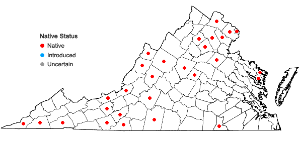 Locations ofPlatanthera peramoena (Gray) Gray in Virginia