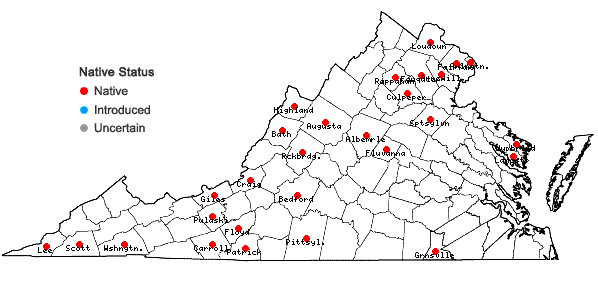 Locations ofPlatanthera peramoena (Gray) Gray in Virginia