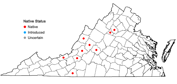 Locations ofPlatydictya confervoides (Brid.) H.A. Crum in Virginia