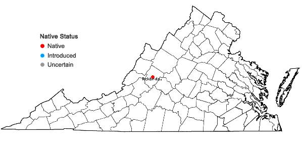 Locations ofPlatydictya minutissima (Sull. & Lesq.) H.A. Crum in Virginia