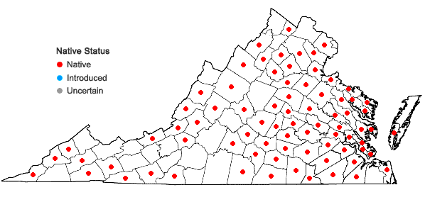 Locations ofPlatygyrium repens (Brid.) Schimp. in Virginia