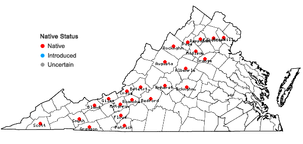 Locations ofPlatylomella lescurii (Sull.) A. L. Andrews in Virginia