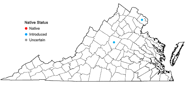 Locations ofPleioblastus fortunei (Van Houtte) Nakai in Virginia