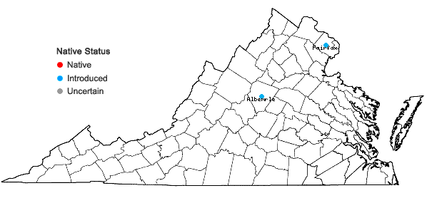 Locations ofPleioblastus fortunei (Van Houtte) Nakai in Virginia