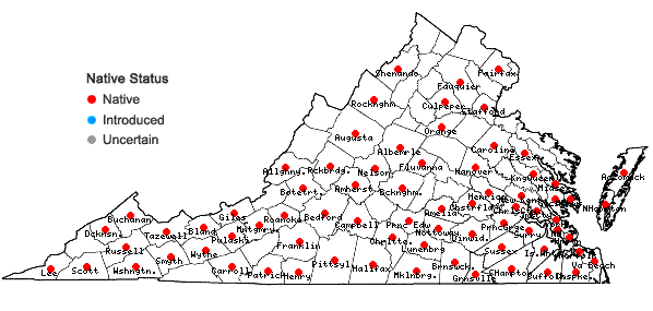 Locations ofPleopeltis michauxiana (Weath.) Hickey & Sprunt in Virginia