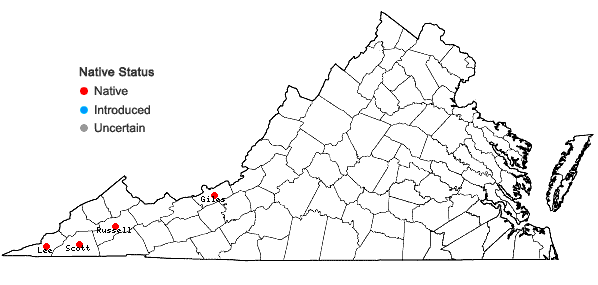 Locations ofPleurochaete luteola (Besch.) Ther. in Virginia