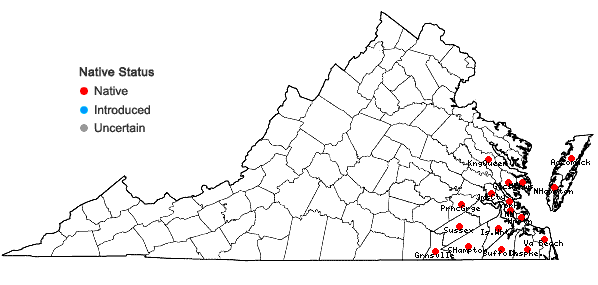 Locations ofPluchea foetida (L.) DC. var. foetida in Virginia