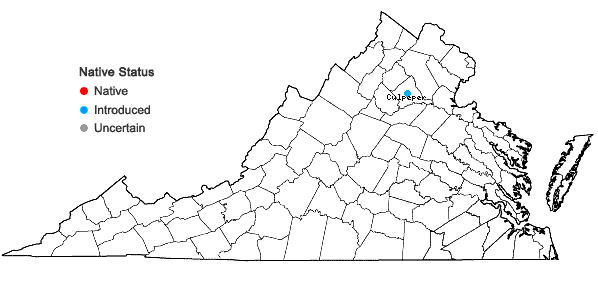 Locations ofPoa arachnifera Torr, in Virginia