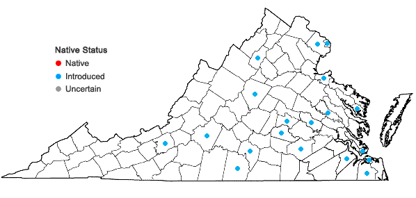 Locations ofPoa bulbosa L. ssp. vivipara (Koel.) Arcang. in Virginia