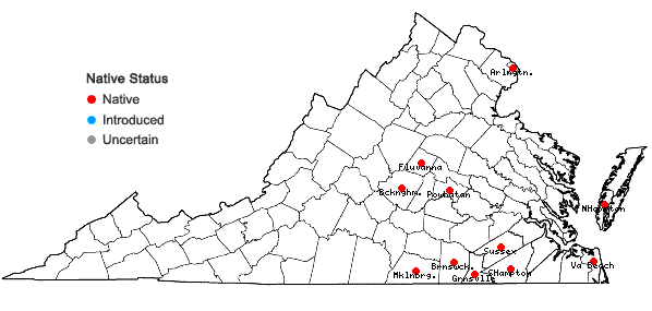 Locations ofPoa chapmaniana Scribn. in Virginia