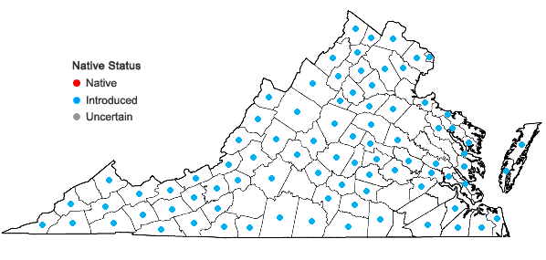 Locations ofPoa compressa L. in Virginia