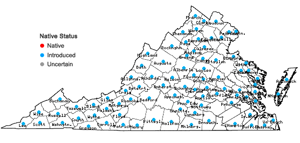 Locations ofPoa compressa L. in Virginia