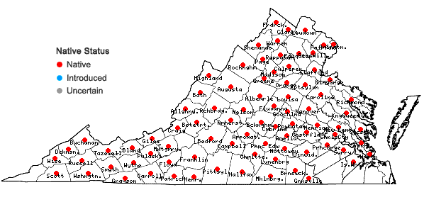 Locations ofPoa cuspidata Nutt. in Virginia