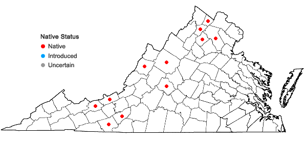 Locations ofPoa paludigena Fern. & Wieg. in Virginia