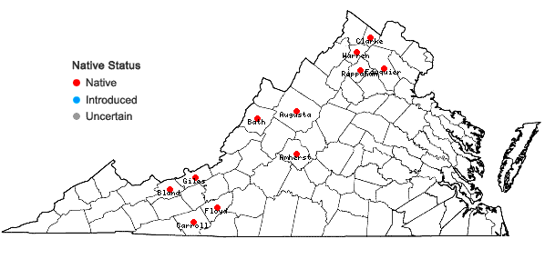 Locations ofPoa paludigena Fern. & Wieg. in Virginia