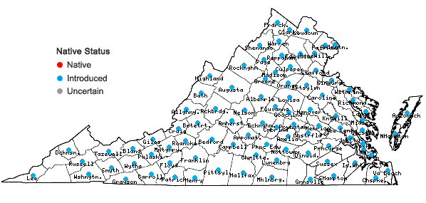 Locations ofPoa pratensis L. in Virginia