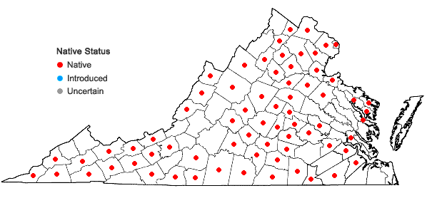 Locations ofPoa sylvestris Gray in Virginia