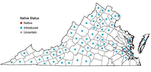 Locations ofPoa trivialis L. ssp. trivialis in Virginia