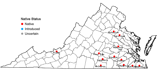 Locations ofPogonatum brachyphyllum (Michx.) P. Beauv.  in Virginia