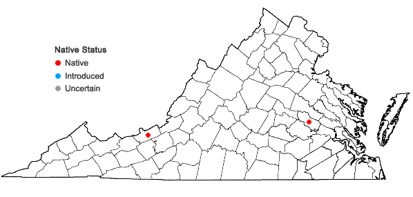 Locations ofPohlia camptotrachela (Renauld & Cardot) Broth. in Virginia