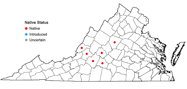 Locations ofPolanisia dodecandra (L.) A. DC. var. dodecandra in Virginia