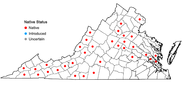 Locations ofPolemonium reptans L. var. reptans in Virginia